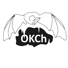 Logo XXV OKCh